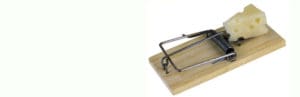 Medicaid Mousetrap