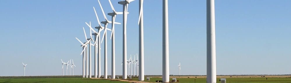 End The Wind Subsidy