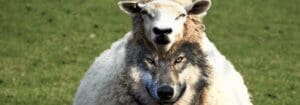 Fake Republican PAC Created to Deceive Voters