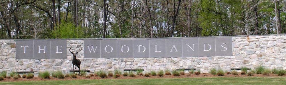 Has The Time Come For The Woodlands To Incorporate?