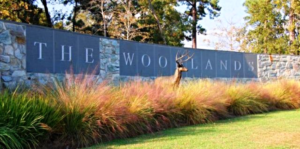The Woodlands Township Rejects Tax Increase