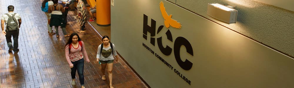 HCC Corruption Investigator Has Political Ties to District