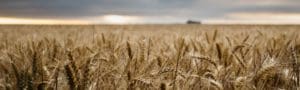 Texas Lawmakers Co-sponsor the FARM Act 