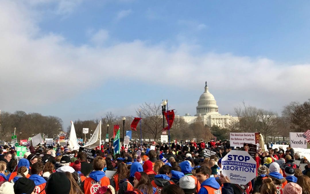 Commentary: My Experience at the March for Life