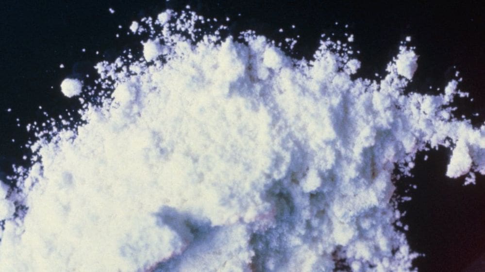 After Cocaine Bust, Could Drug Testing Come to Texas Legislature?
