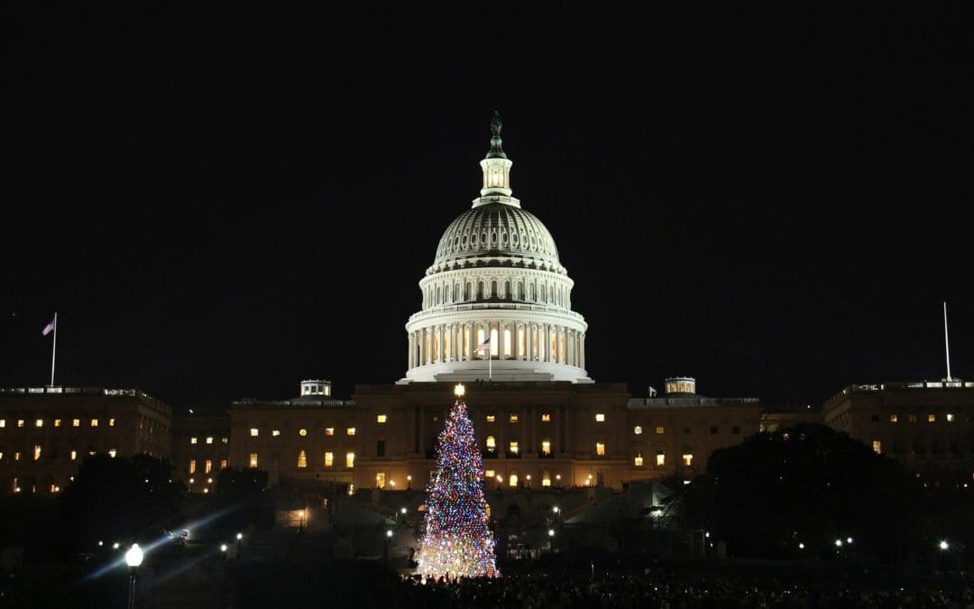 Commentary: Congress is Giving Taxpayers a 2,000-Page, $1.4 Trillion Spending Bill for Christmas