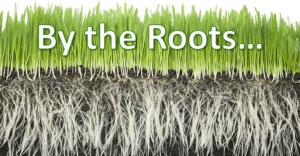 Commentary: We Took Back Our Texas Town by the Roots