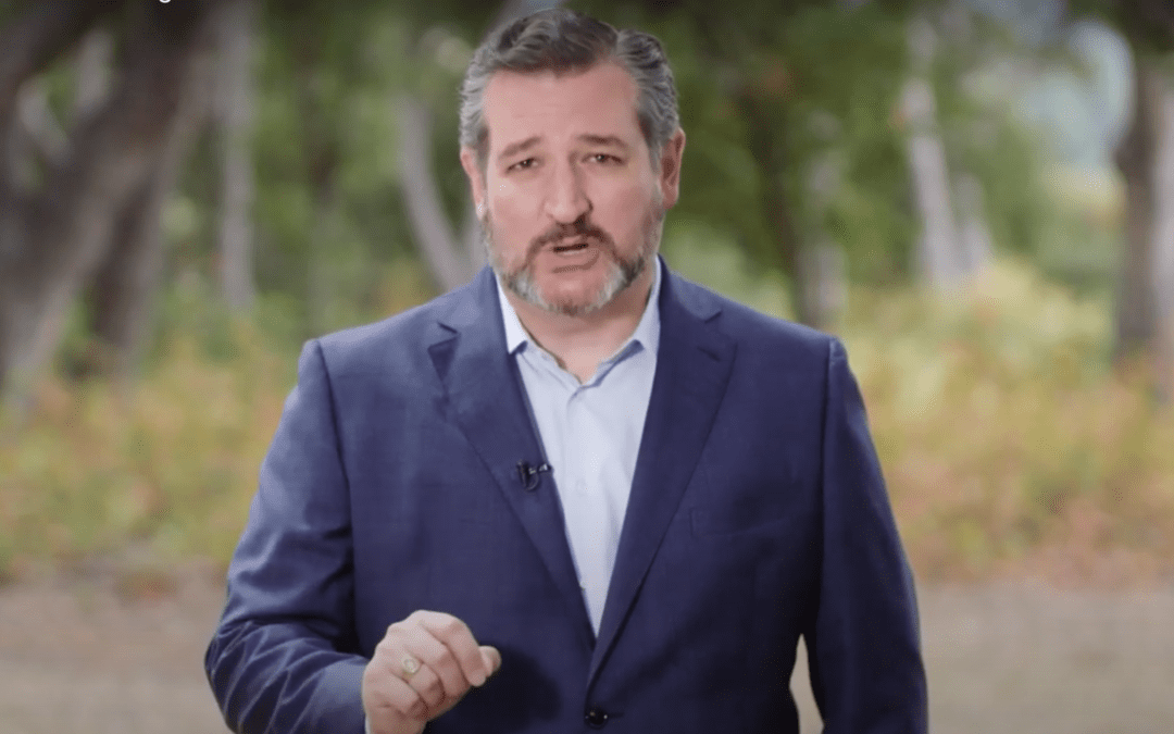 Ted Cruz: Jon Francis Will Stand up to Austin Swamp