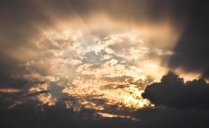 Shining Light on Government Brings Together All Texans