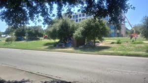Senate Committee Meets to Discuss Homeless Camping