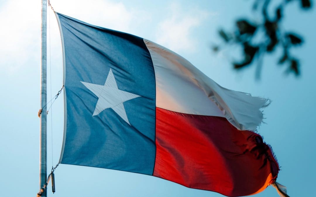 Pro-Texas Curriculum Could Come to Schools
