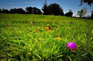 Bible Verse Easter Egg Hunt Draws Backlash at University of North Texas