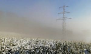 Pratt: Part of Texas Big Freeze Showed More Money and Regulation, Not a Solution