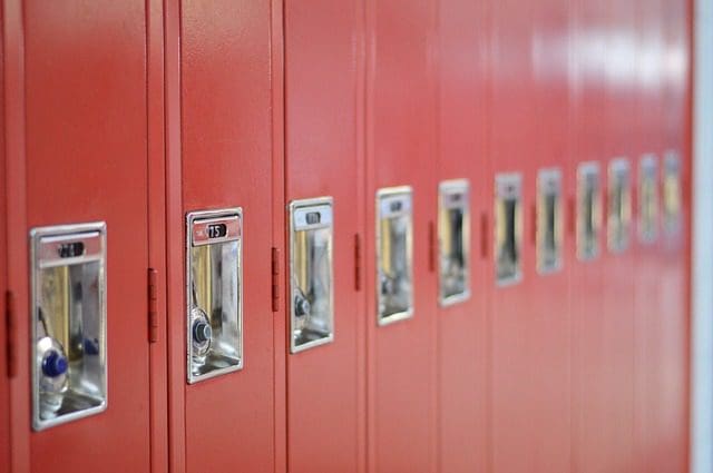 Hall: School Safety — For the Preservation of Life, Liberty, and Property