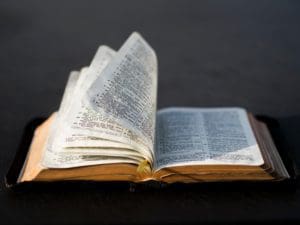 Biblical Care of the Earth and People – A Conversation with Cal Beisner