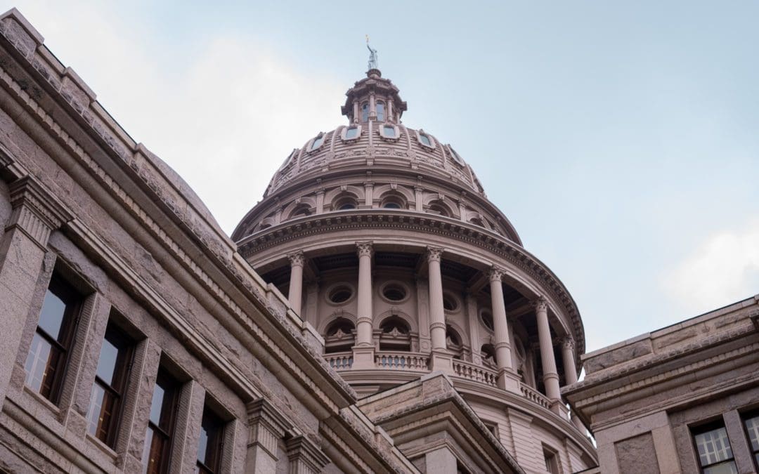 Texas House Lawmakers Propose Restricting Children’s Access to Explicit Materials