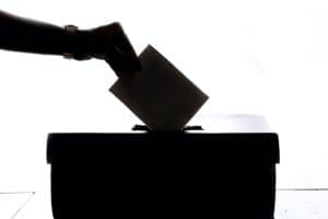 Multiple House and Senate Races Head to Runoff Election