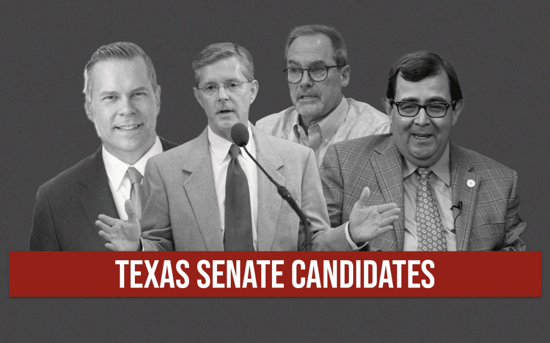 Texas Senate Races Taking Shape