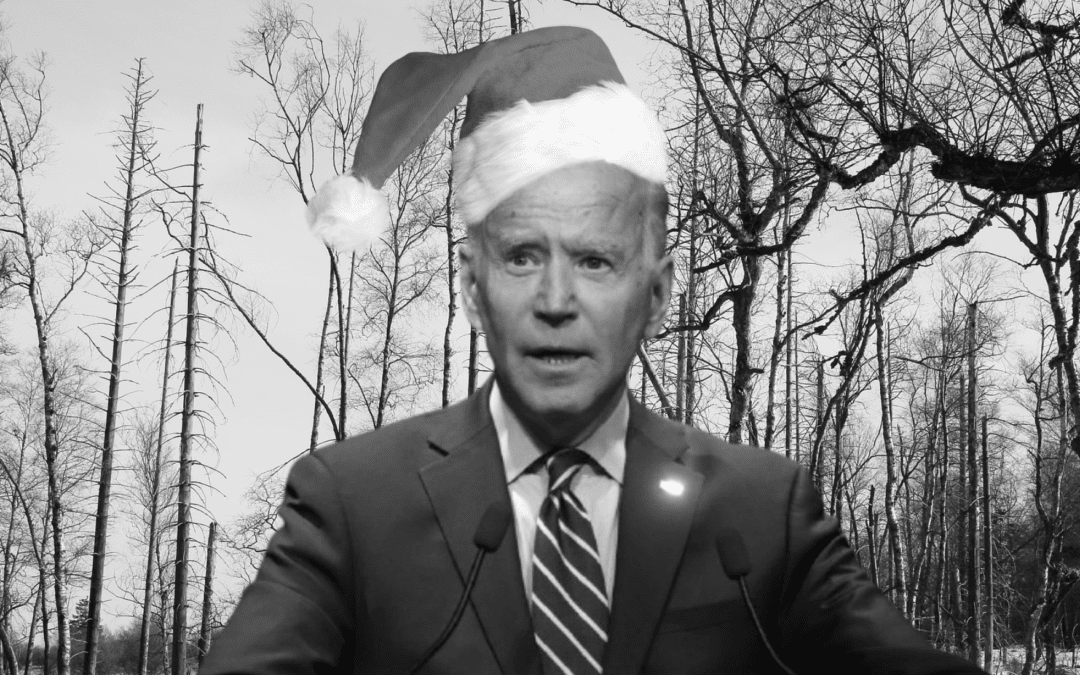 Biden: The Nights of Winter