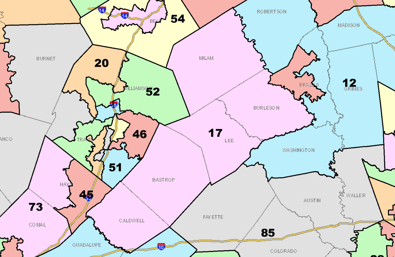 Texas House District 17 Candidates in Their Own Words - Texas Scorecard