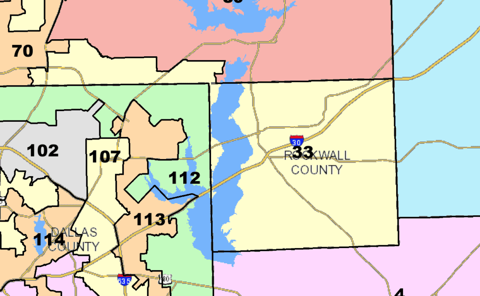 Texas House District 33 Candidates in Their Own Words Texas Scorecard