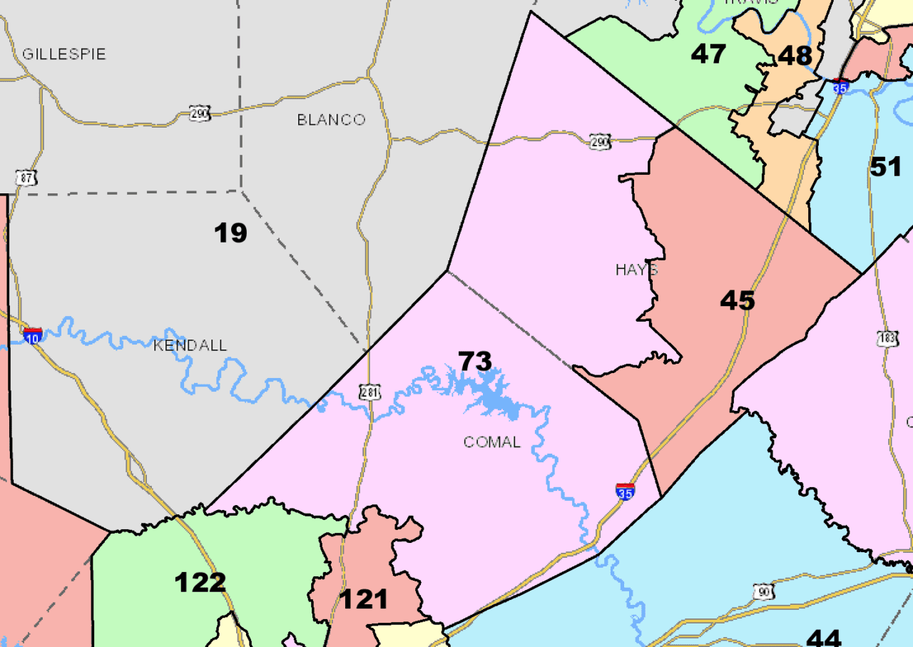 Texas House District 73 Candidates in Their Own Words Texas Scorecard