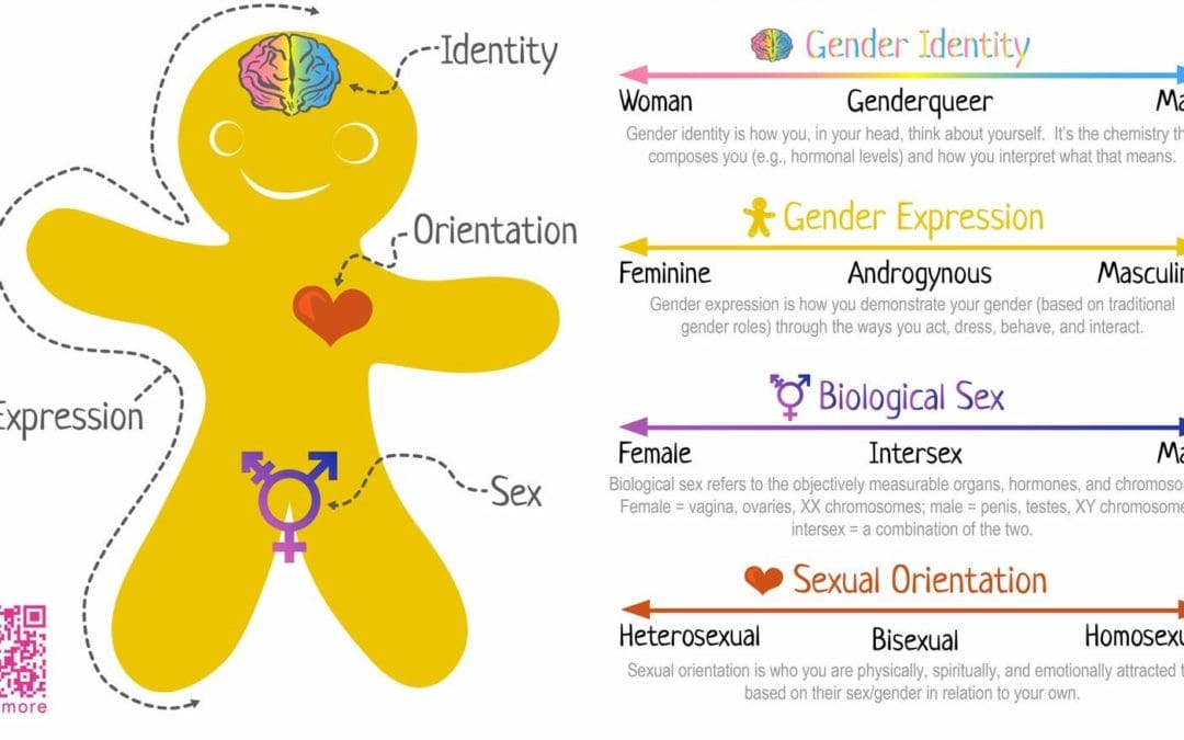 University of Texas Teaching Trans ‘Genderbread Person’ Chart to Students