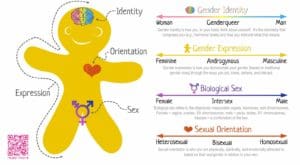 University of Texas Teaching Trans ‘Genderbread Person’ Chart to Students