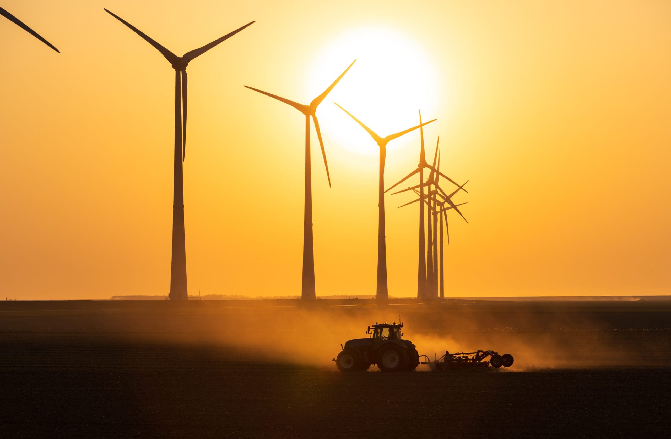 y-all-answered-subsidize-green-energy-texas-scorecard