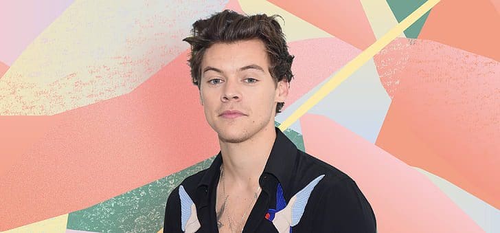 Taxpayers to Fund Texas State University Class on Harry Styles