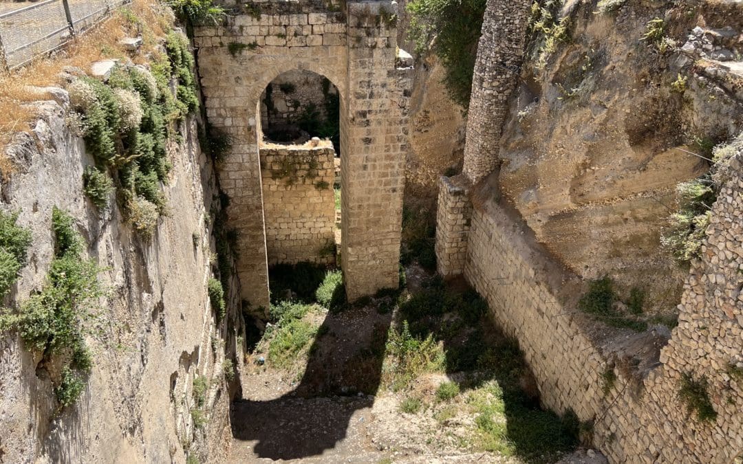 Bethesda ruins [Photo by Michael Quinn Sullivan]