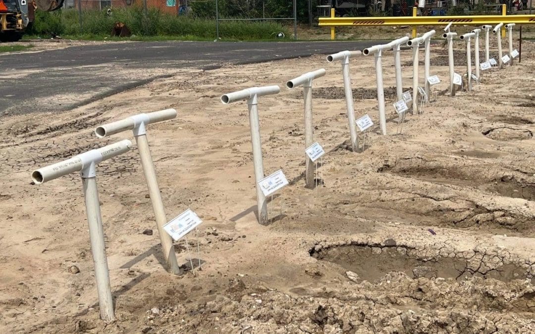 Unidentified Children Buried on Texas Soil