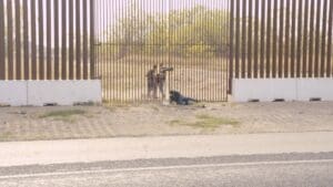 Left-Wing Groups File New Lawsuit Against Texas Border Enforcement Law