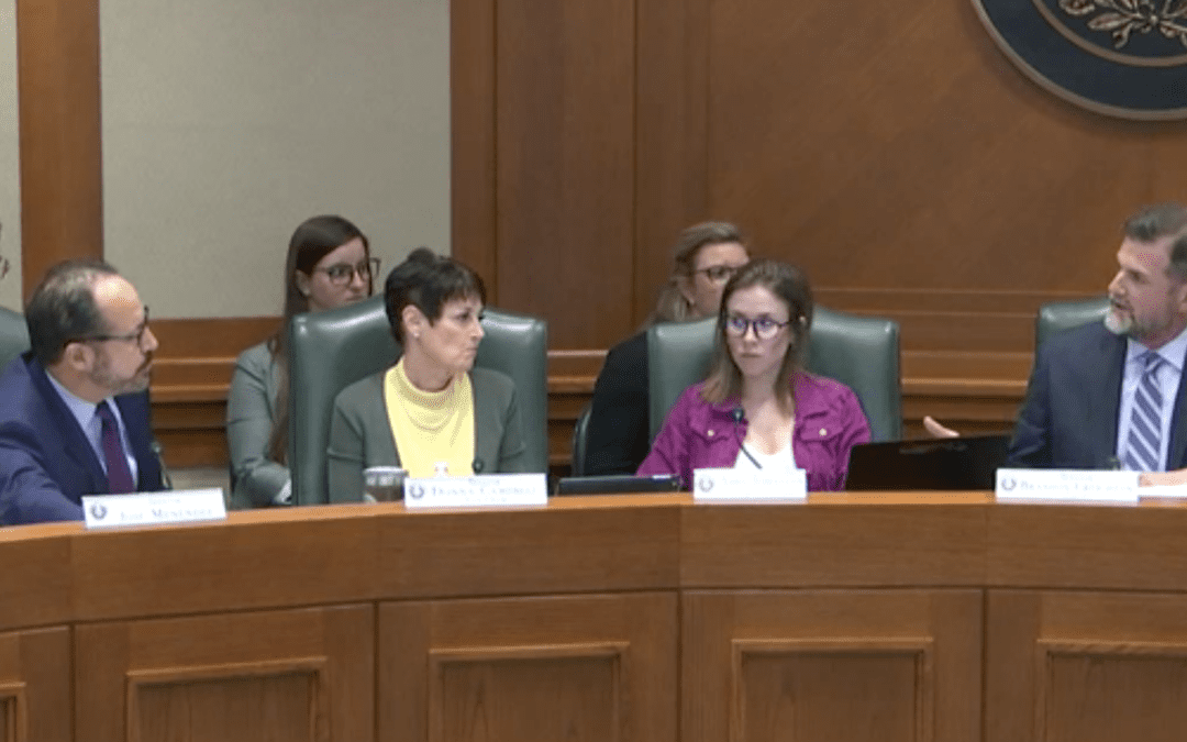 School Choice Advocates Counter Democrat Arguments in Senate Committee Hearing