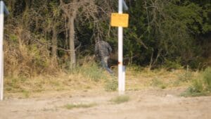 Texas DPS Officer Sounds Alarm on Border Invasion