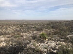Southern Border Sees Record Number of Unaccompanied Minors Crossing