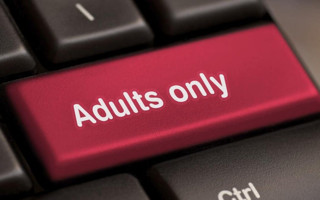 Texas Can Enforce Law Requiring Age Verification to Access Porn