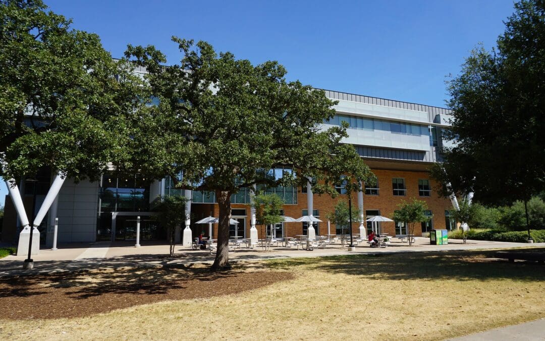 University of North Texas Dissolves DEI Department