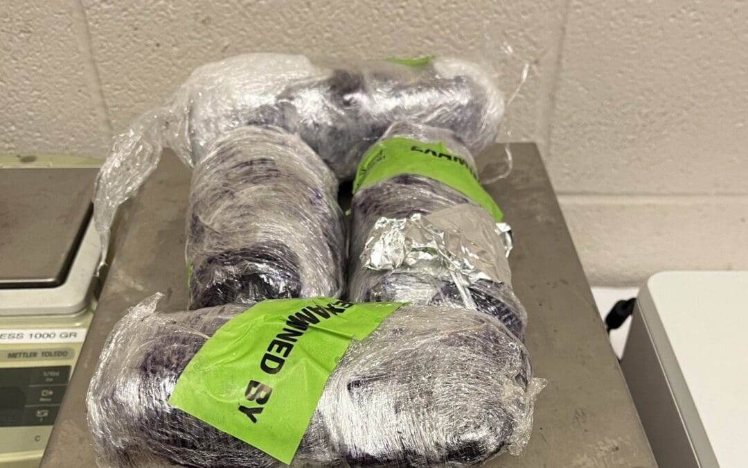 US Customs and Border Protection Seizes $11 Million Worth of Illegal Narcotics