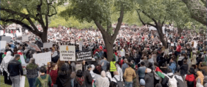 Nearly 10,000 Pro-Palestine Protestors March in Austin