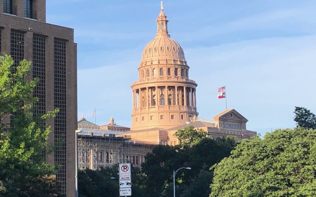 Low Turnout Special Election Runoff Sends Democrat to Texas Senate