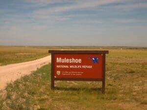 Trump Administration Halts Controversial Muleshoe Wildlife Refuge Expansion