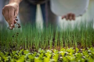 Texas Lawmakers Urge Congress to Pass Farm Bill