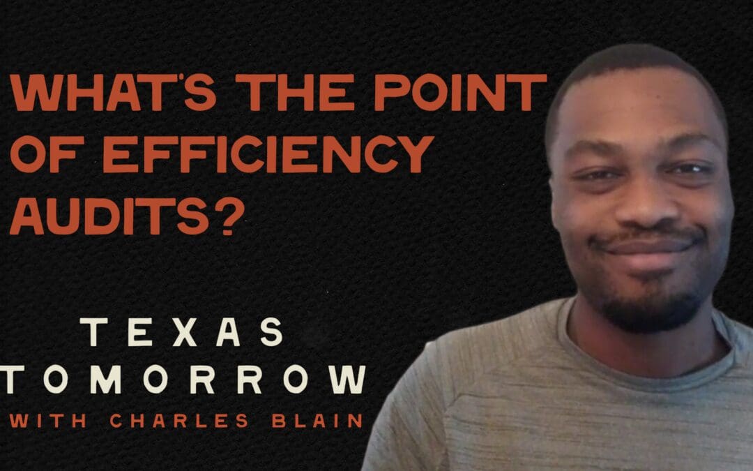 What’s the Point of Efficiency Audits?