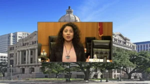 Commissioners Table Resolution Calling for Harris County Judge’s Resignation Over Rodeo Incident