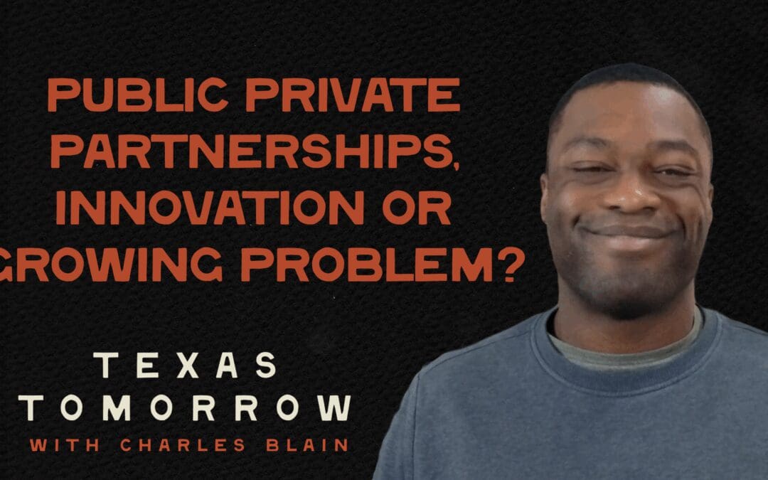 Public-Private Partnerships, Innovation, or Growing Problem?