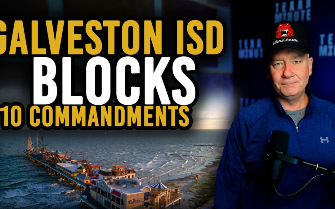 11.10.2025: Chinese Land Ban