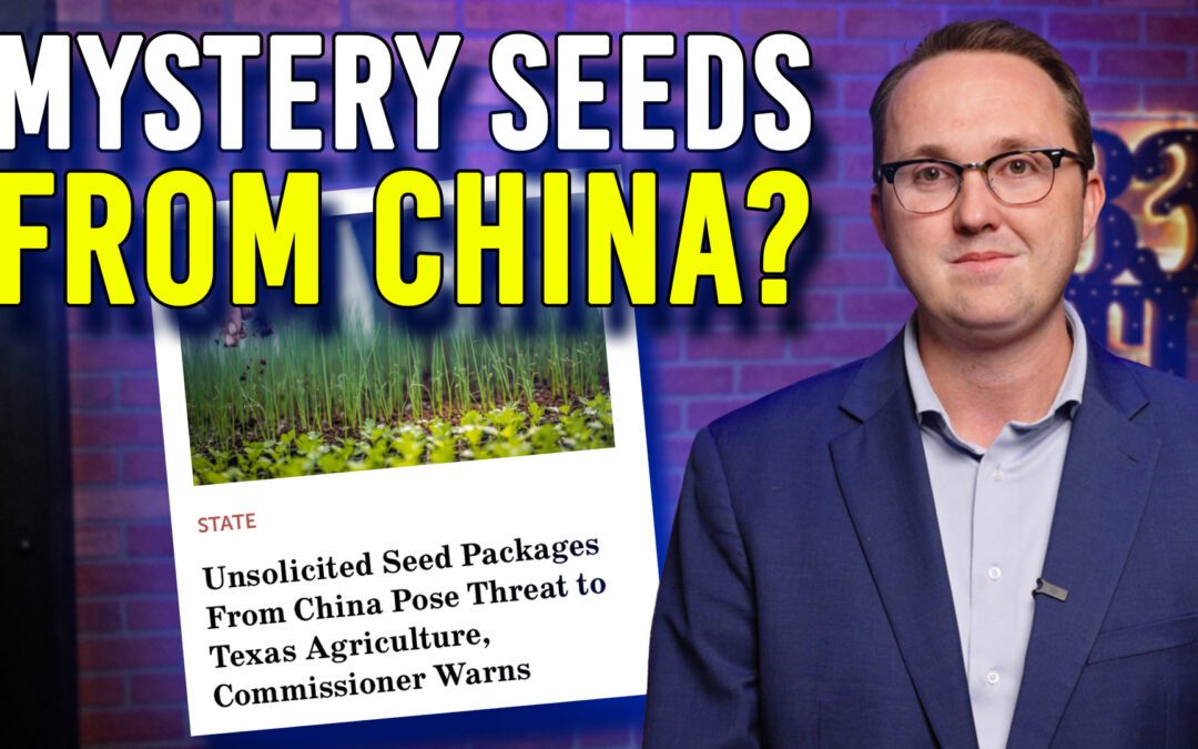 1/6/26 Mystery Seeds from China?