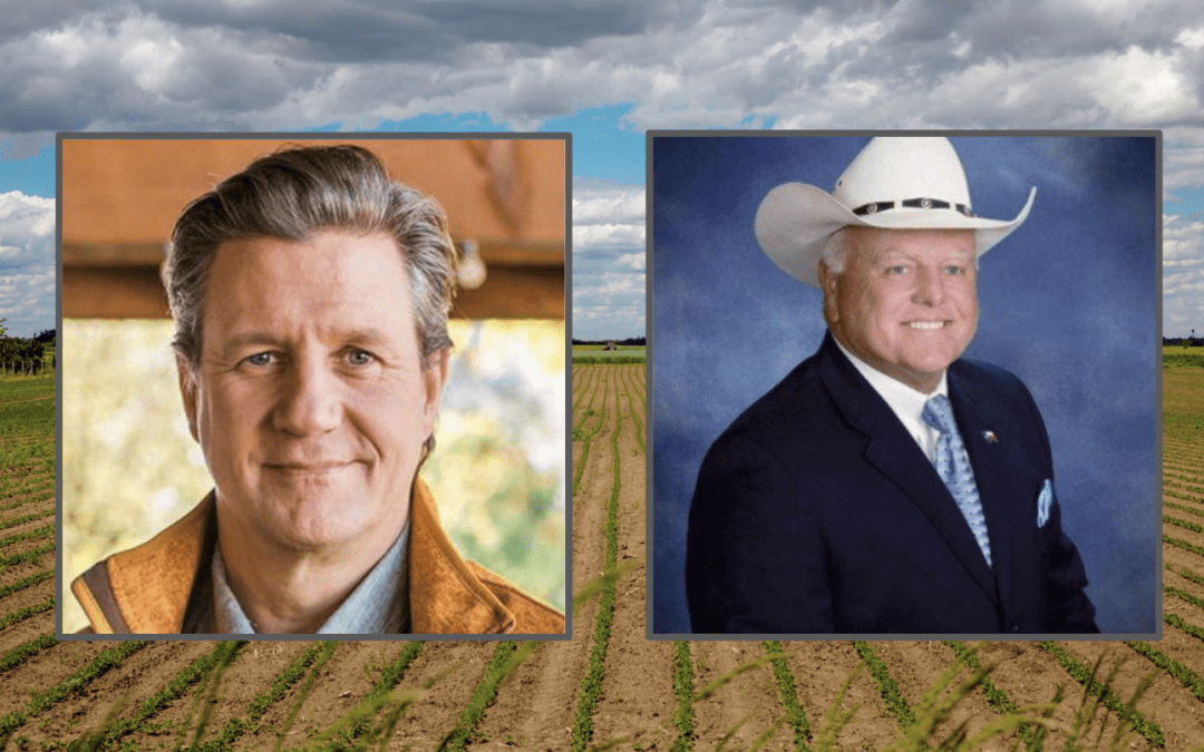 Sheets Opens Fundraising Lead Over Miller in Texas Ag Commissioner Race