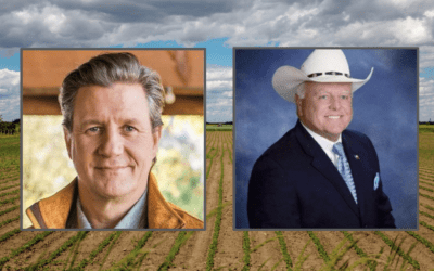 Sheets Opens Fundraising Lead Over Miller in Texas Ag Commissioner Race